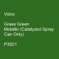 Preview: Volvo, Grass Green Metallic (Catalyzed Spray Can Only), P3021.